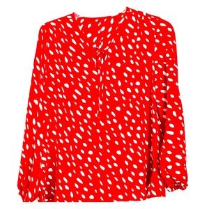 Red polka dot blouse.